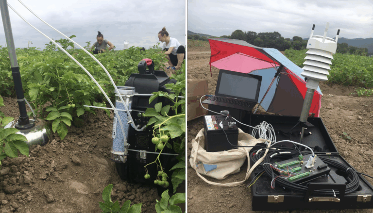 field_1